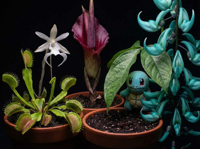 免费看片植物视频-免费看片植物视频：全球稀有植物视频大赏